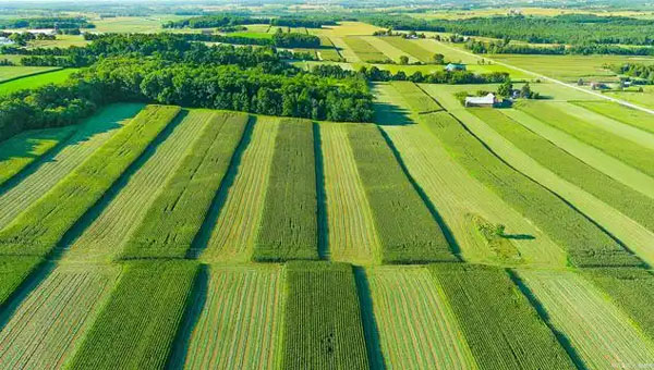 SSUNTE AGRICULTURE